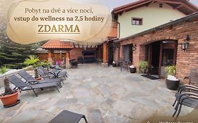Penzion Na Kamyncu